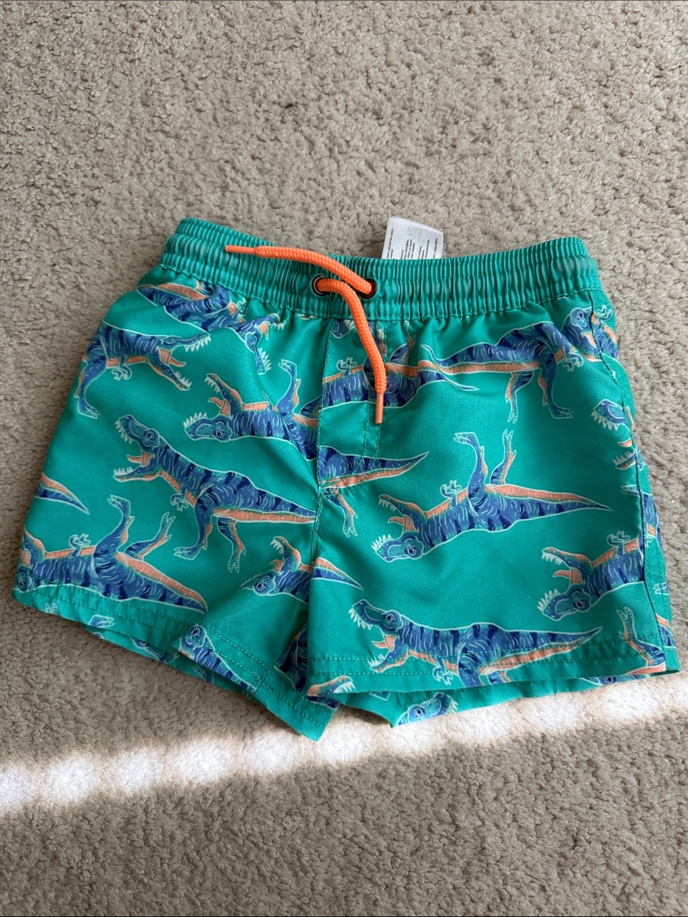 Carter's Teal Dinosaur Swim Shorts with Orange Drawstring